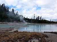 Yellowstone Norris Geyser (97).JPG